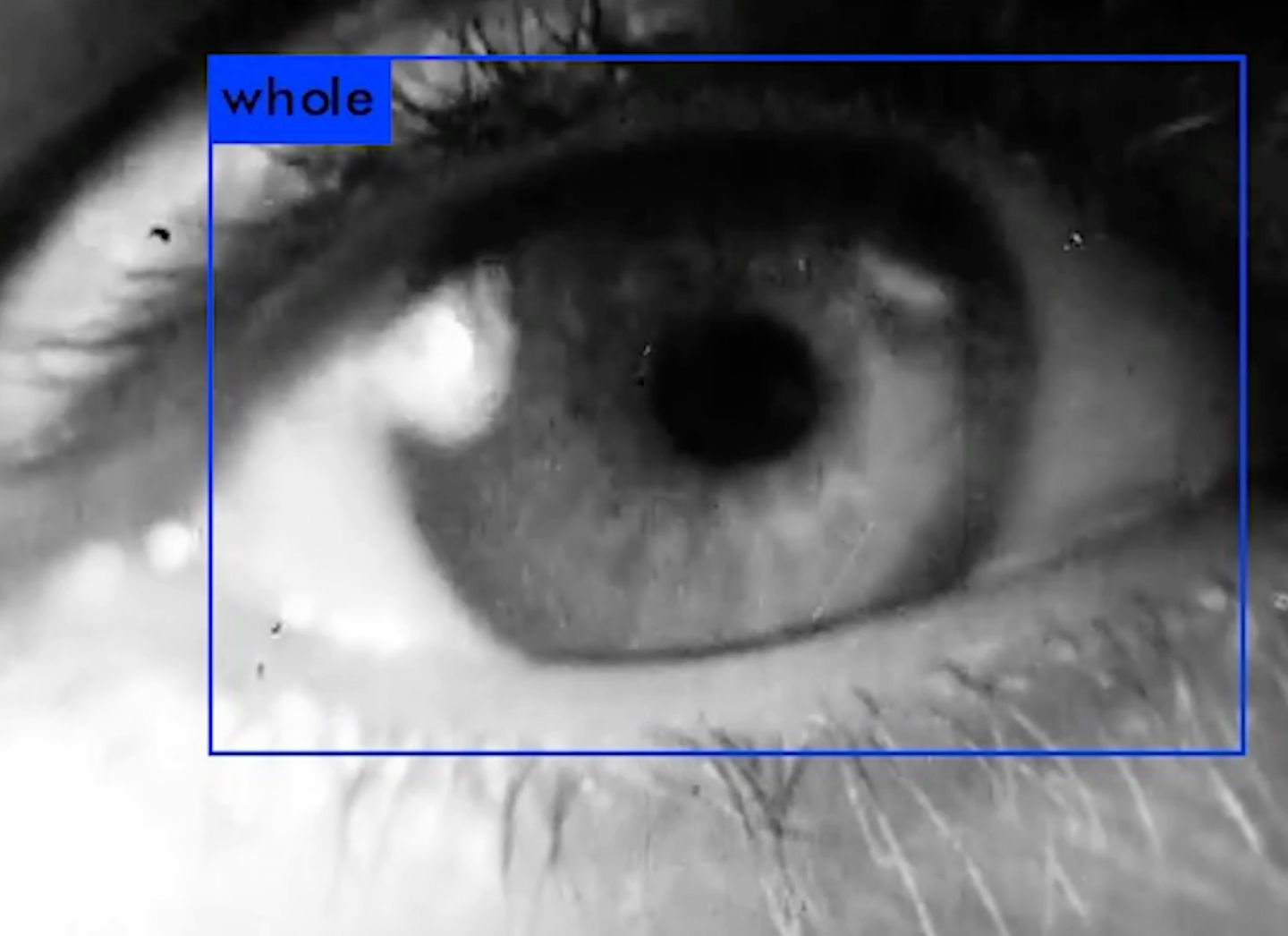 Still from Estampa, What Do You See YOLO9000?, 2019, HD video